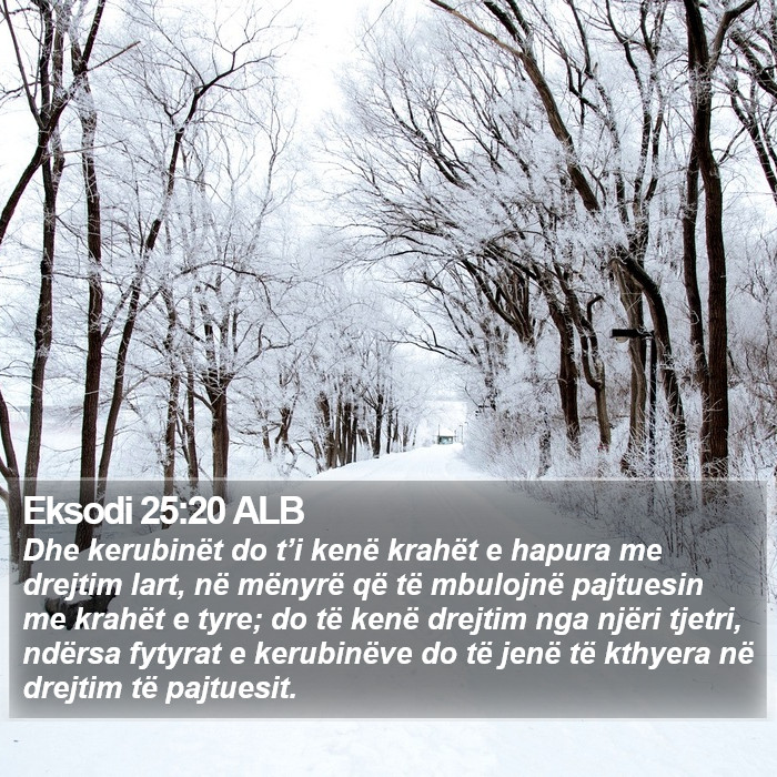 Eksodi 25:20 ALB Bible Study