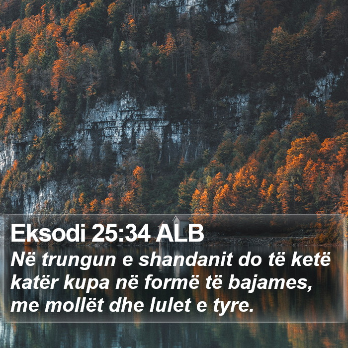 Eksodi 25:34 ALB Bible Study