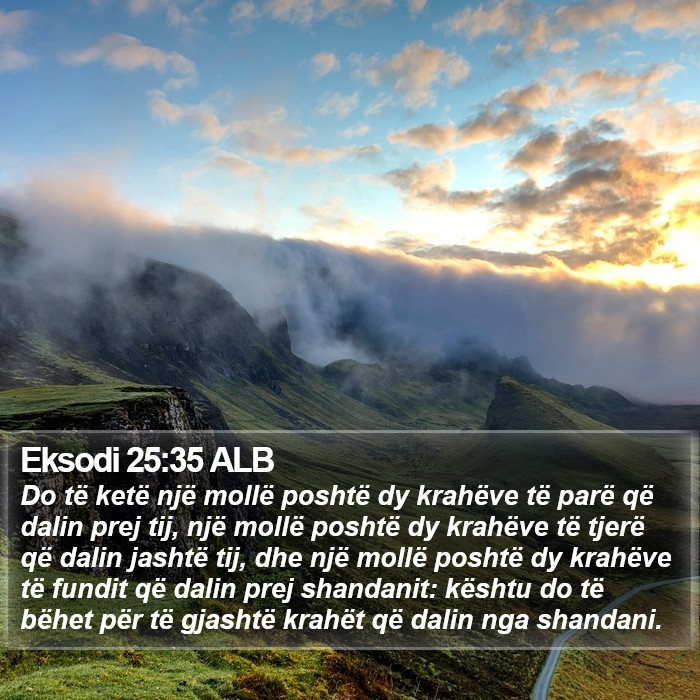 Eksodi 25:35 ALB Bible Study