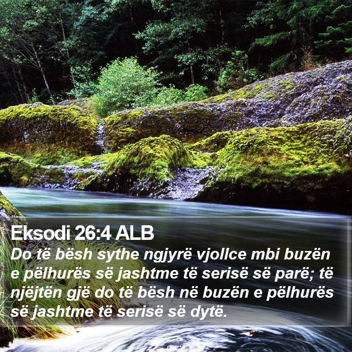 Eksodi 26:4 ALB Bible Study