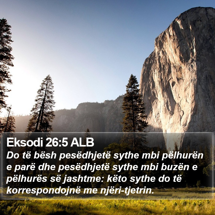 Eksodi 26:5 ALB Bible Study