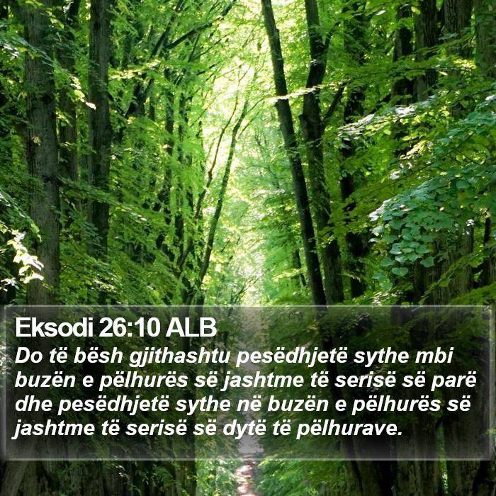 Eksodi 26:10 ALB Bible Study