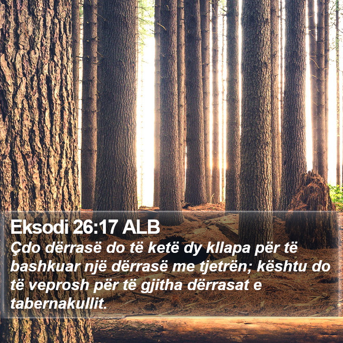 Eksodi 26:17 ALB Bible Study
