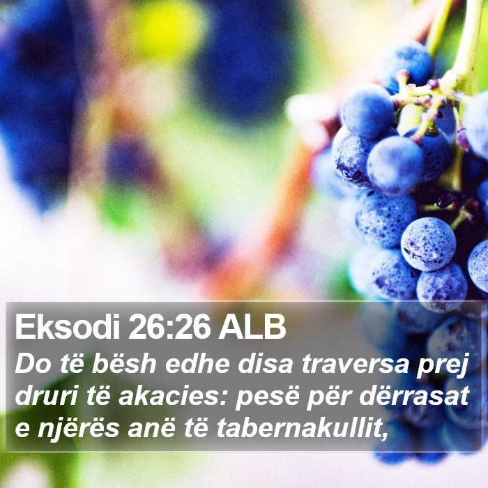 Eksodi 26:26 ALB Bible Study