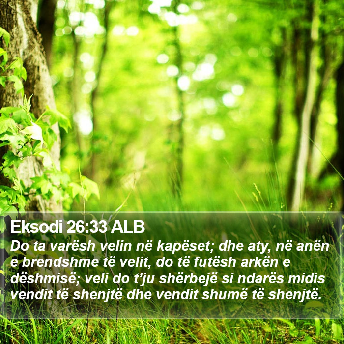 Eksodi 26:33 ALB Bible Study