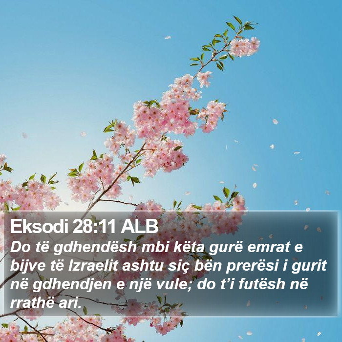 Eksodi 28:11 ALB Bible Study