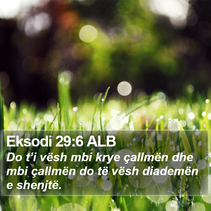 Eksodi 29:6 ALB Bible Study