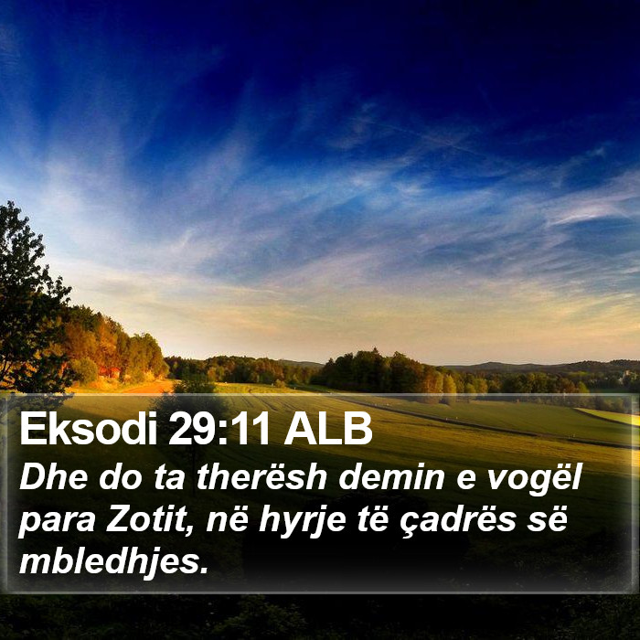 Eksodi 29:11 ALB Bible Study