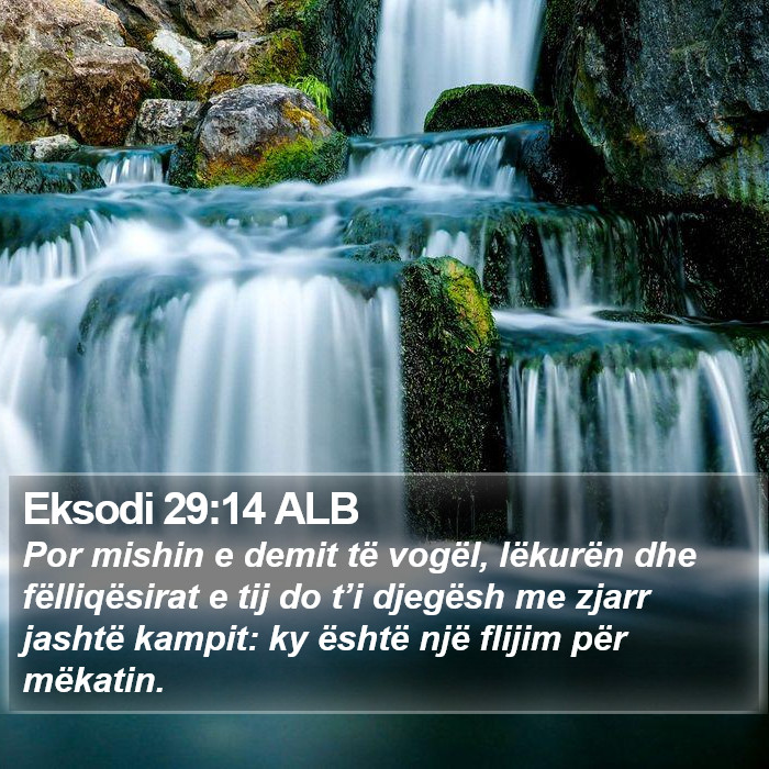 Eksodi 29:14 ALB Bible Study