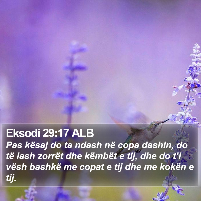 Eksodi 29:17 ALB Bible Study