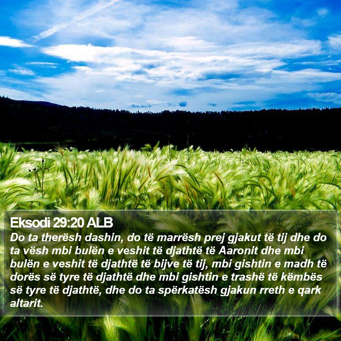 Eksodi 29:20 ALB Bible Study