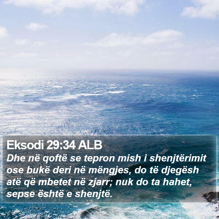 Eksodi 29:34 ALB Bible Study