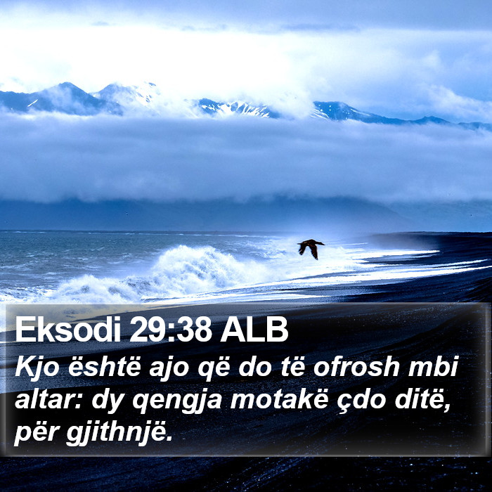 Eksodi 29:38 ALB Bible Study