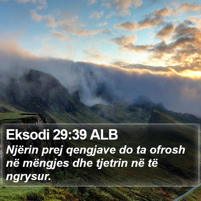 Eksodi 29:39 ALB Bible Study