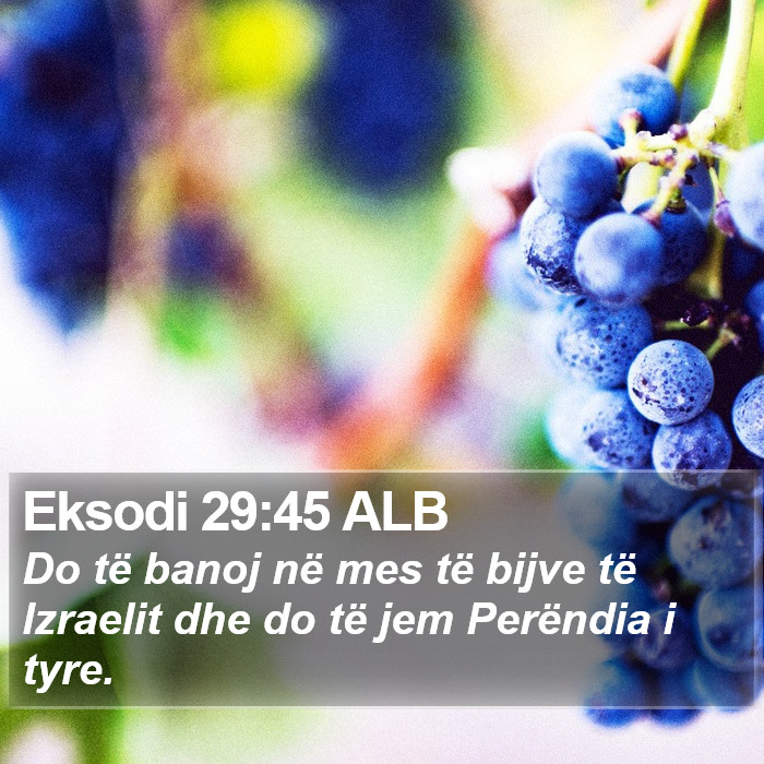 Eksodi 29:45 ALB Bible Study