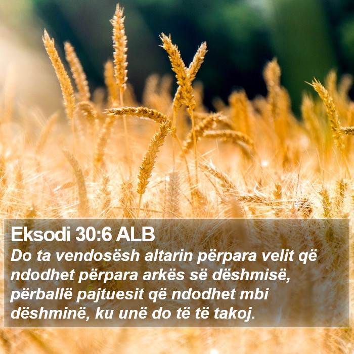 Eksodi 30:6 ALB Bible Study