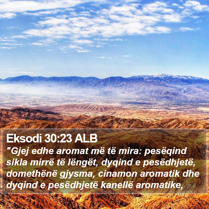 Eksodi 30:23 ALB Bible Study