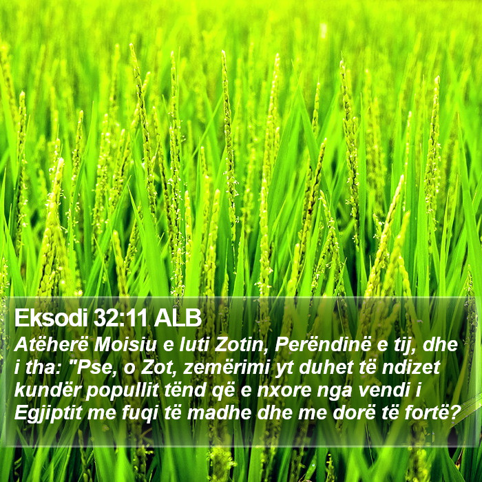 Eksodi 32:11 ALB Bible Study