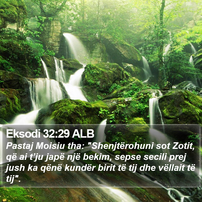 Eksodi 32:29 ALB Bible Study