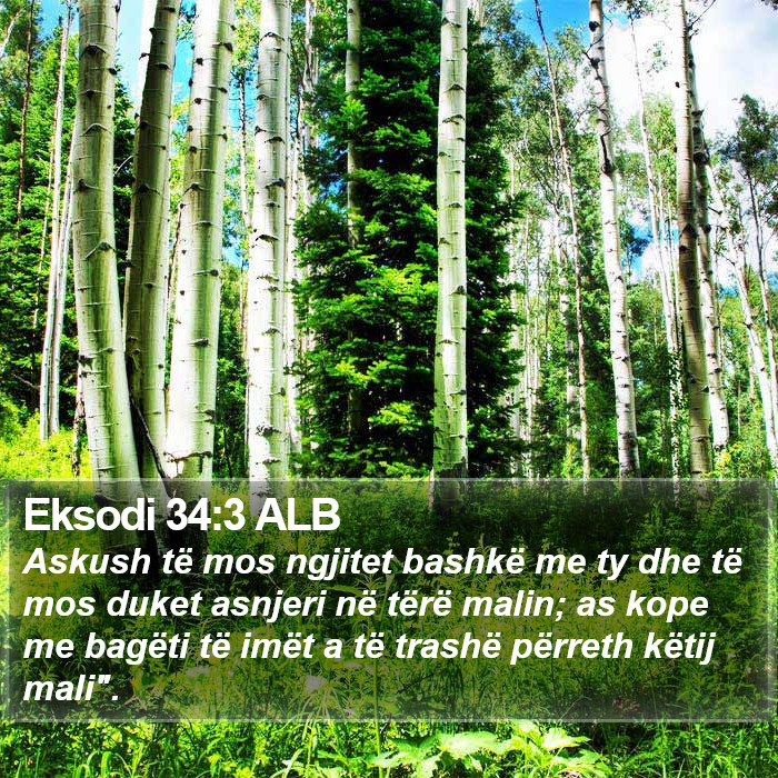 Eksodi 34:3 ALB Bible Study