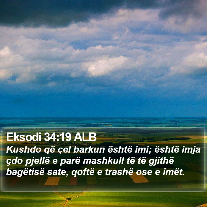 Eksodi 34:19 ALB Bible Study