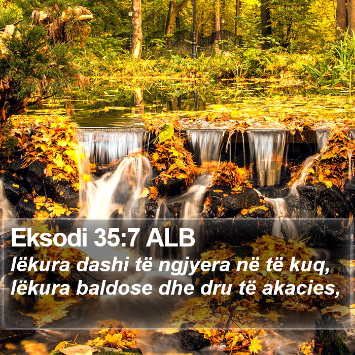 Eksodi 35:7 ALB Bible Study