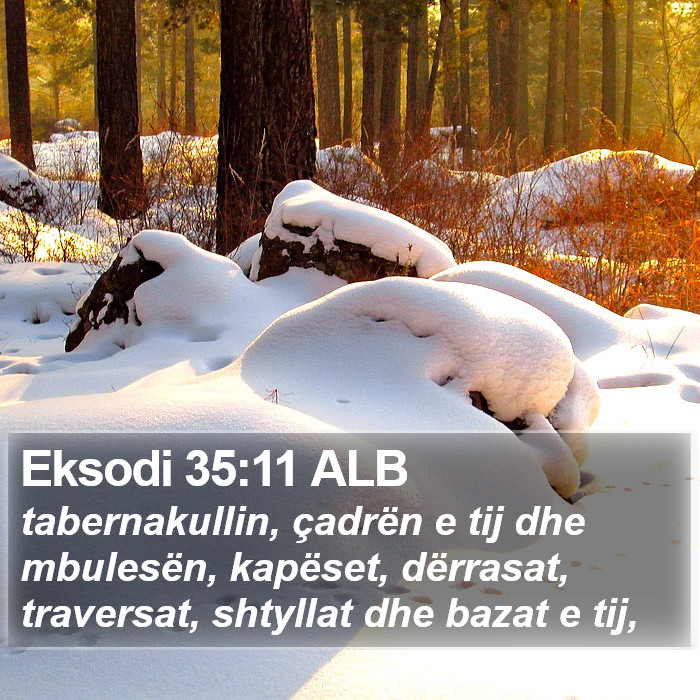 Eksodi 35:11 ALB Bible Study