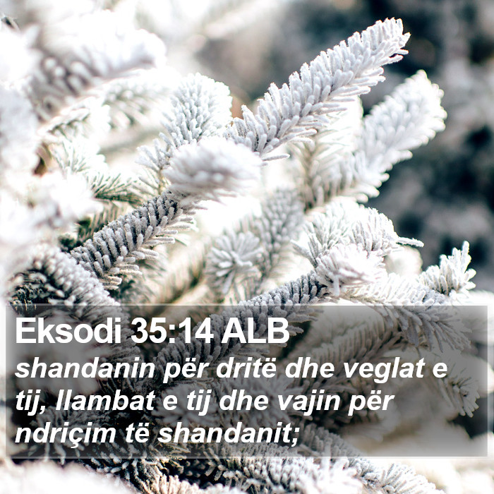 Eksodi 35:14 ALB Bible Study