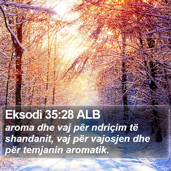 Eksodi 35:28 ALB Bible Study