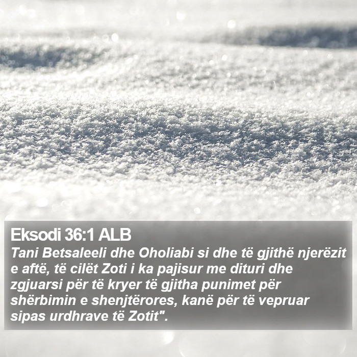 Eksodi 36:1 ALB Bible Study