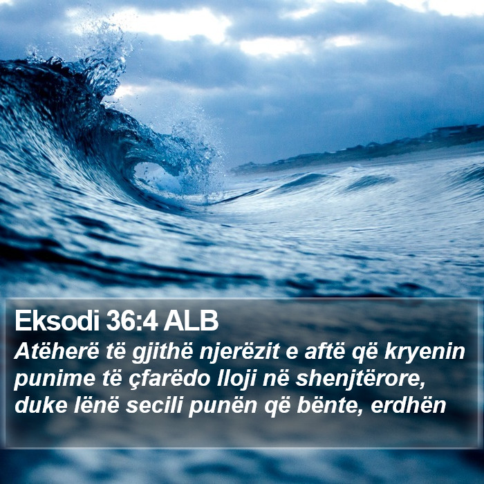 Eksodi 36:4 ALB Bible Study