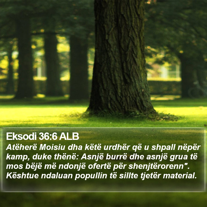 Eksodi 36:6 ALB Bible Study