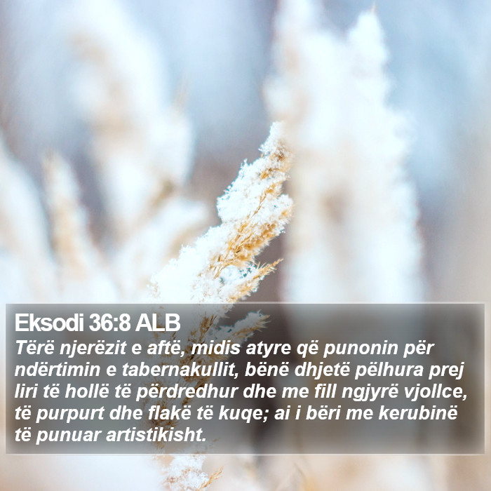 Eksodi 36:8 ALB Bible Study