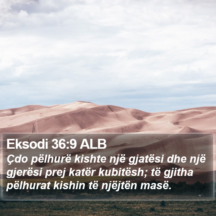 Eksodi 36:9 ALB Bible Study