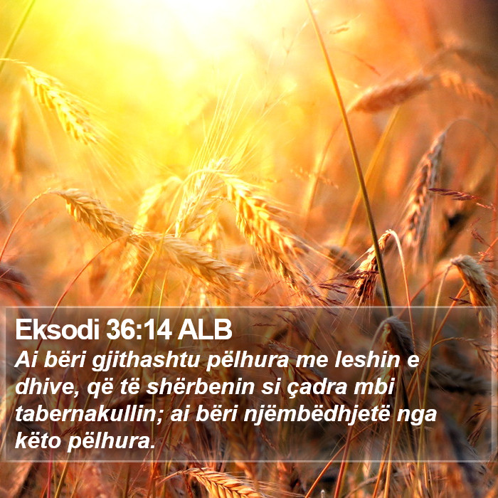 Eksodi 36:14 ALB Bible Study