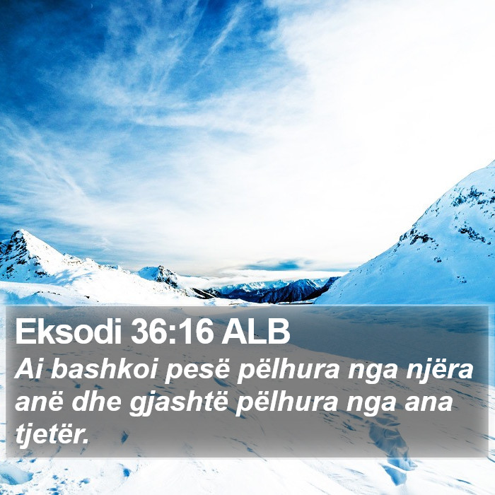 Eksodi 36:16 ALB Bible Study