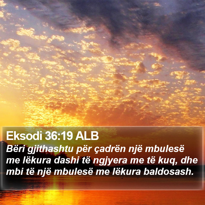 Eksodi 36:19 ALB Bible Study