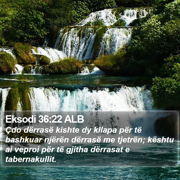 Eksodi 36:22 ALB Bible Study