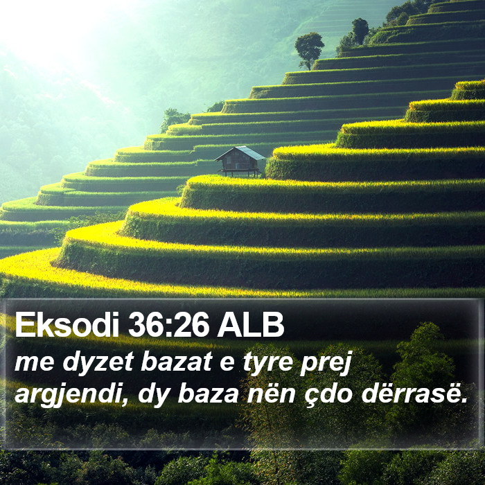 Eksodi 36:26 ALB Bible Study