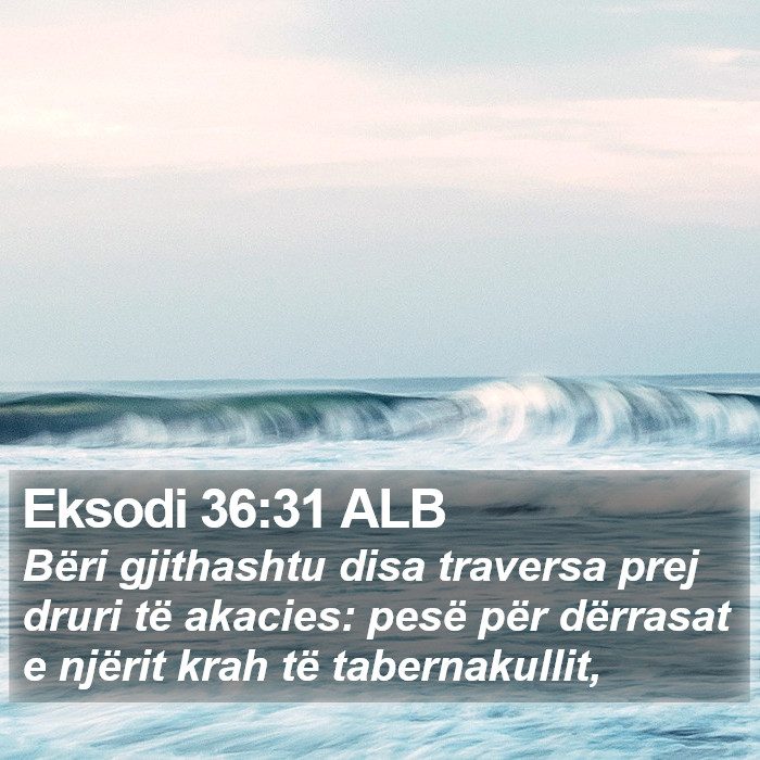 Eksodi 36:31 ALB Bible Study