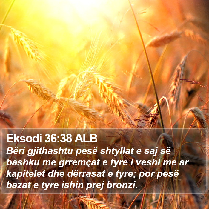 Eksodi 36:38 ALB Bible Study