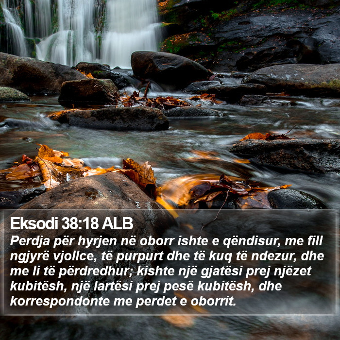 Eksodi 38:18 ALB Bible Study