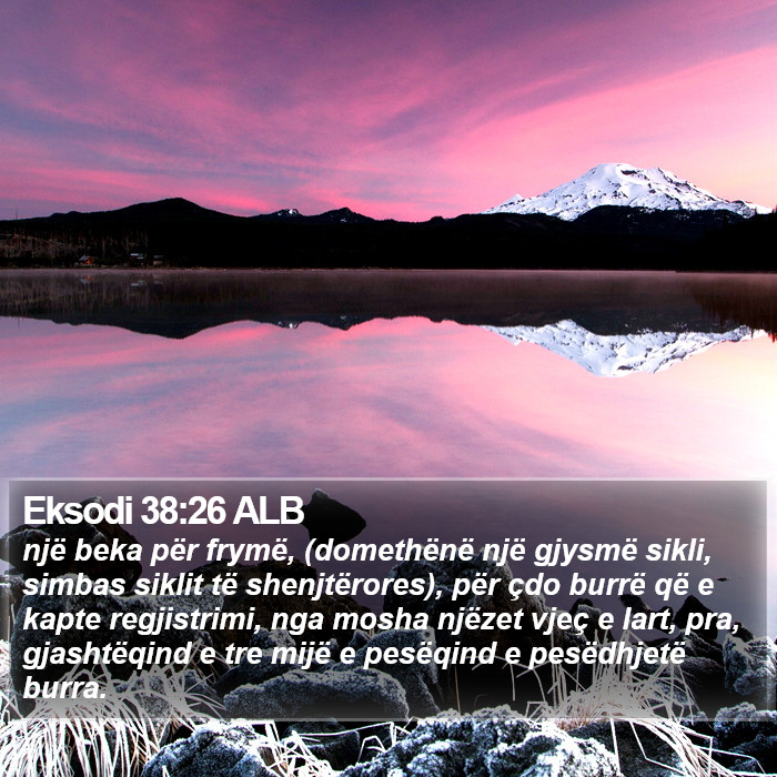 Eksodi 38:26 ALB Bible Study