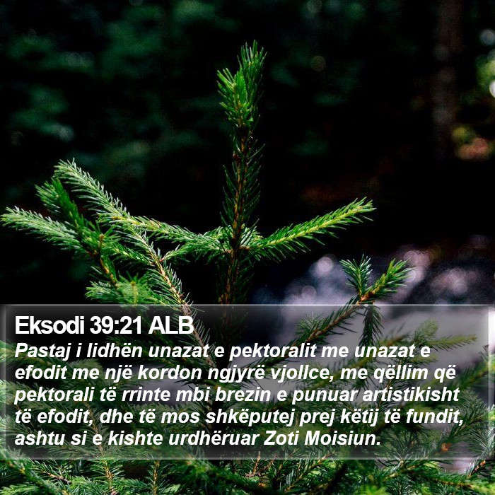 Eksodi 39:21 ALB Bible Study
