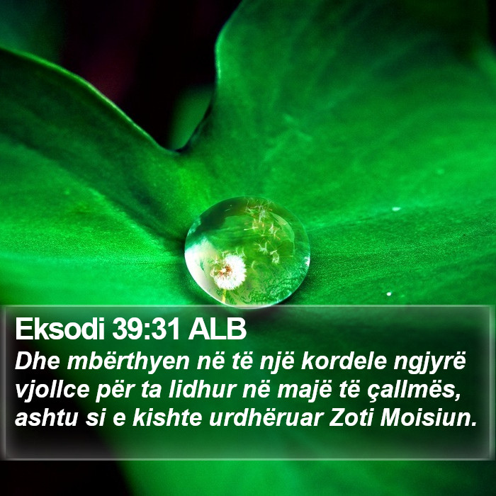 Eksodi 39:31 ALB Bible Study