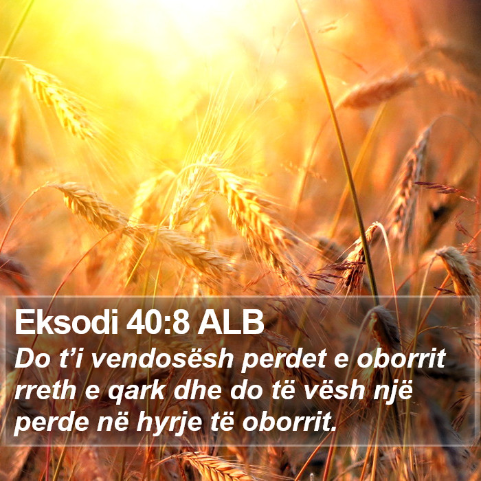 Eksodi 40:8 ALB Bible Study