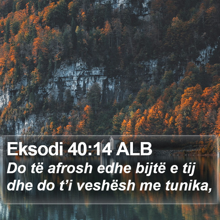 Eksodi 40:14 ALB Bible Study