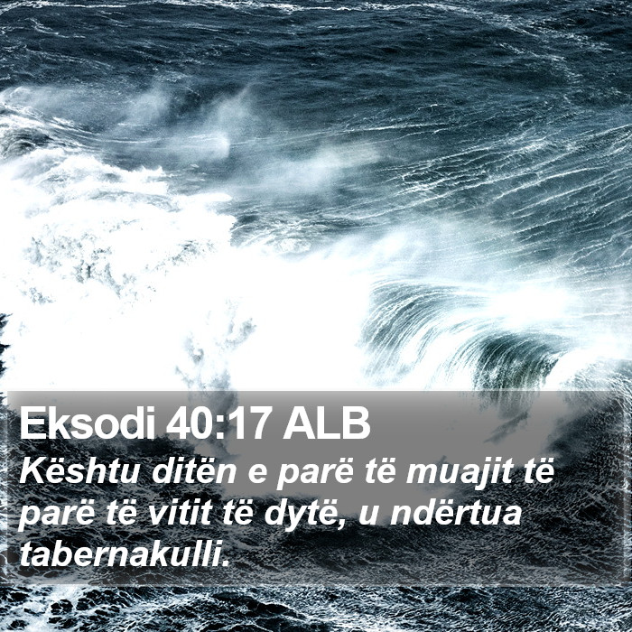 Eksodi 40:17 ALB Bible Study