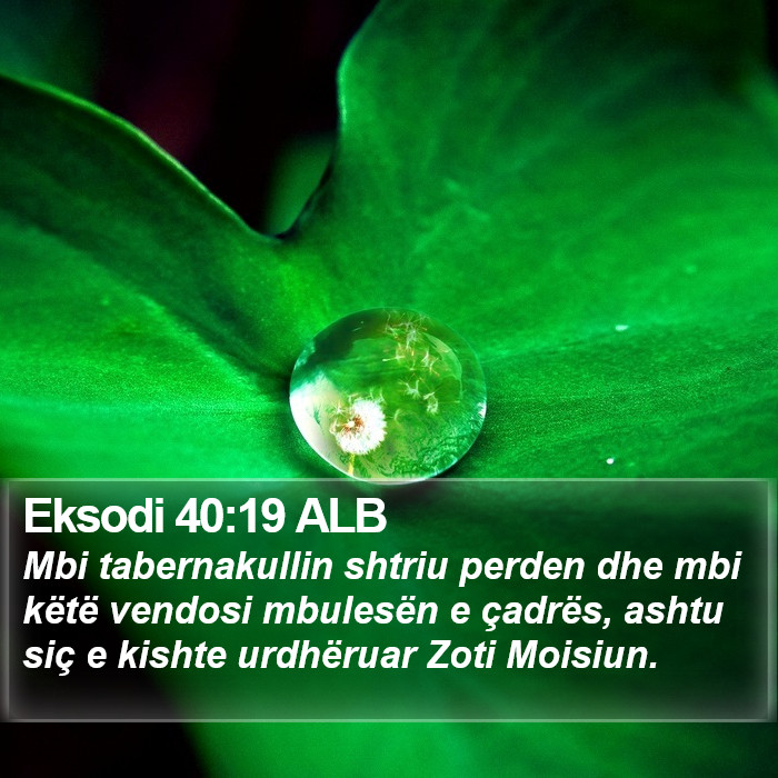Eksodi 40:19 ALB Bible Study