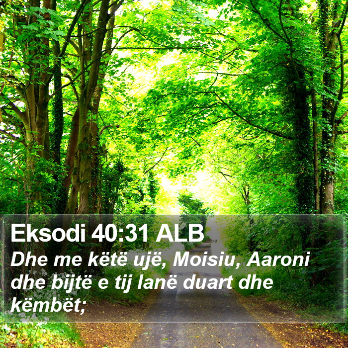 Eksodi 40:31 ALB Bible Study